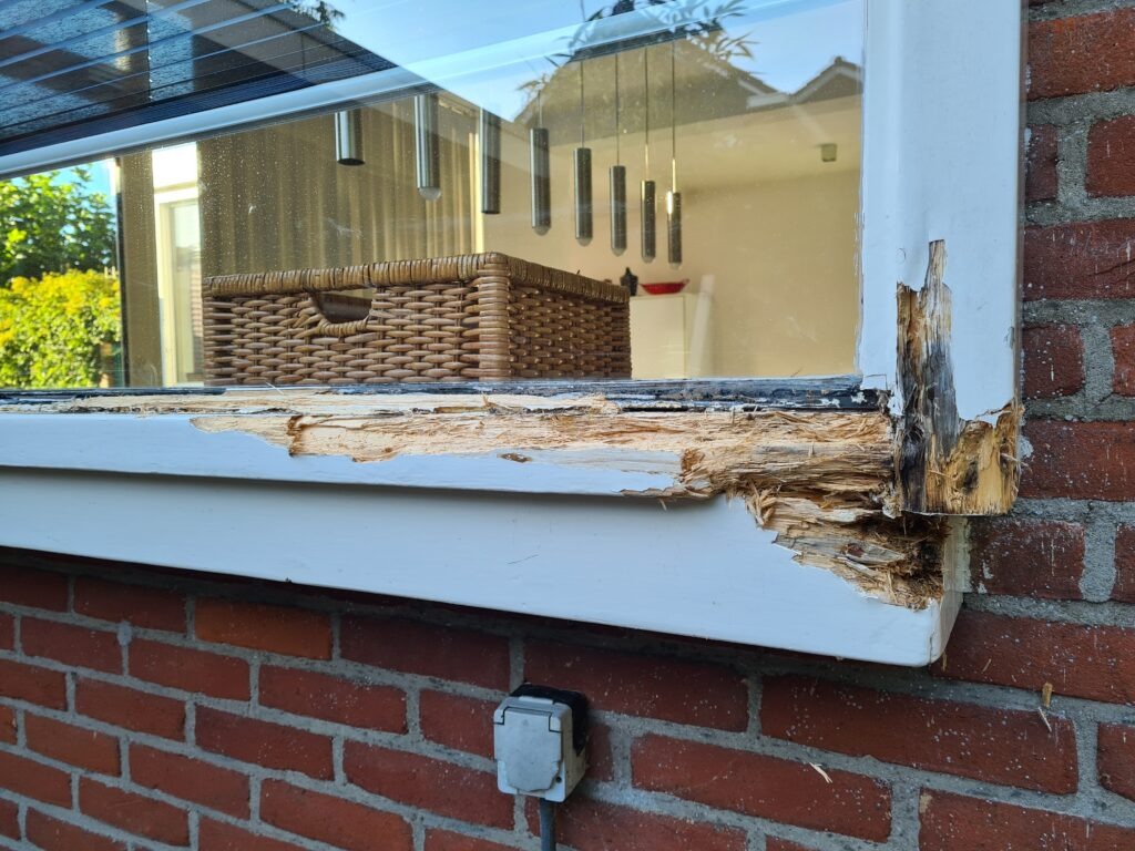 houtrotreparatie Coevorden