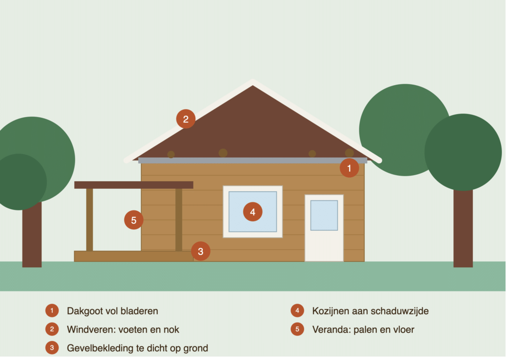 vakantiehuis houtrot risicopunten